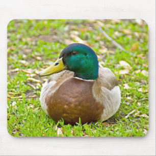 Mr. Mallard the Duck Mouse Mat
