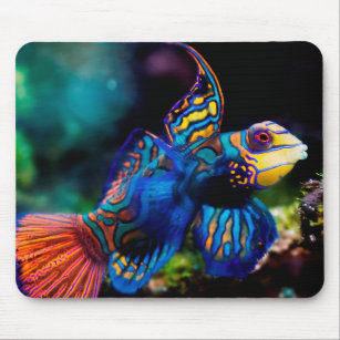 Mandarin Goby Fish Glass Coaster