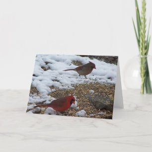 Mr.&Mrs. Cardinal Dining Card