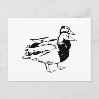 Mr & Mrs Duck Postcard