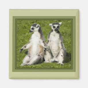 Mr & Mrs Lemur Magnet