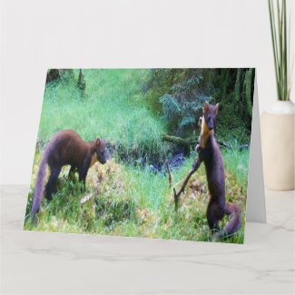 Mr & Mrs Pine Marten Date Night Card Add Own Text
