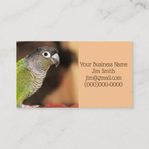 Mr. Oliver Business Card