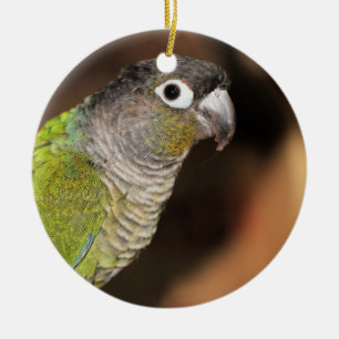 Mr. Oliver Ceramic Tree Decoration