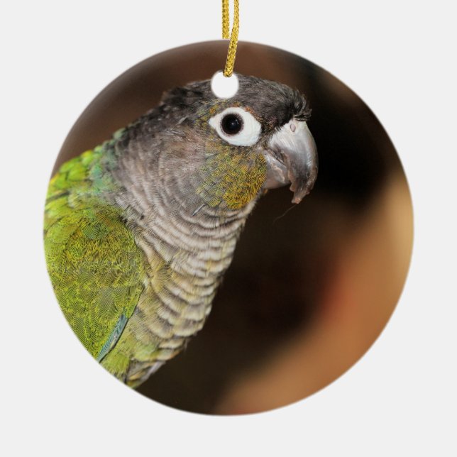 Mr. Oliver Ceramic Tree Decoration (Front)