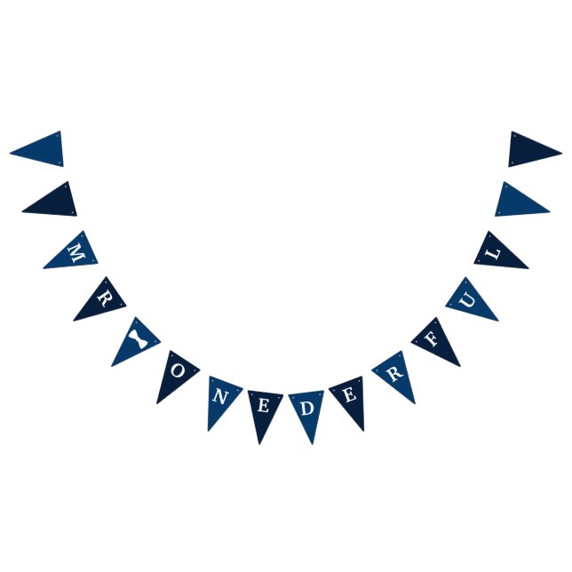 Mr. Onederful Birthday Banner (All)