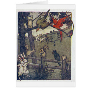 Mr Owl Gives A Party