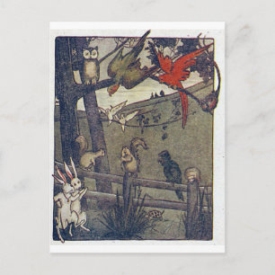 Mr Owl Gives A Party Postcard