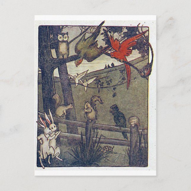 Mr Owl Gives A Party Postcard (Front)