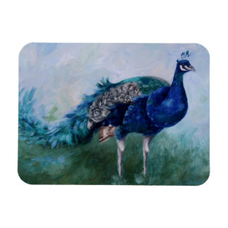 Mr. Peacock Magnet
