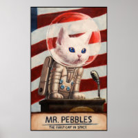 MR PEBBLES - High Quality