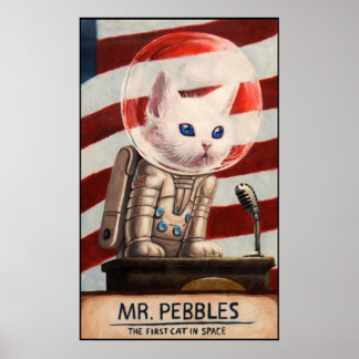 MR PEBBLES - High Quality Poster