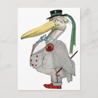 MR. PELICAN POSTCARD