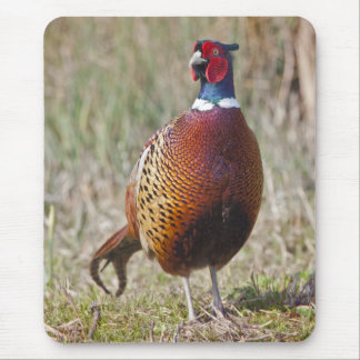 Mr Pheasant Mousemat