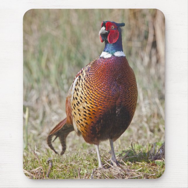 Mr Pheasant Mousemat (Front)