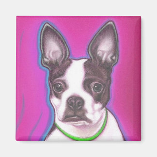 Mr. Pickles the magnet