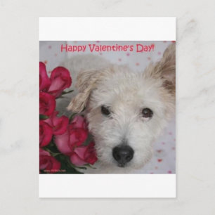 Mr. Pish and a Dozen Roses Valentine's Day Card