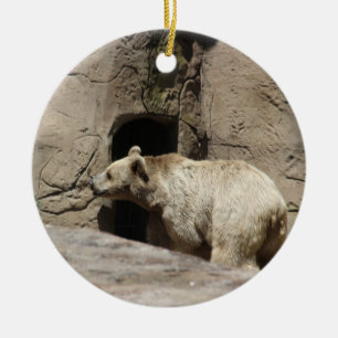 Mr Polar Bear Orniment Ceramic Tree Decoration