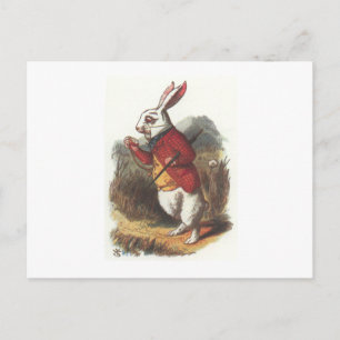 Mr Rabbit! Postcard