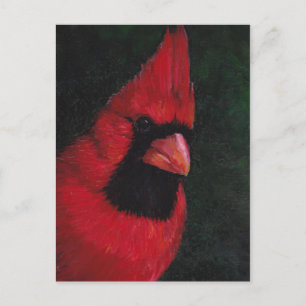 Mr. Red Cardinal Bird Art Postcard