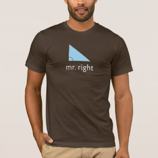Mr. Right (Angle) T-Shirt