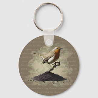 Mr. Robin Finds the Key, keychain