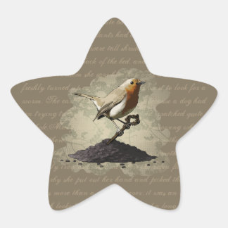 Mr. Robin Finds the Key, star stickers