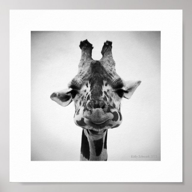 Mr. Serious Giraffe Black and White Photography Poster (Front)