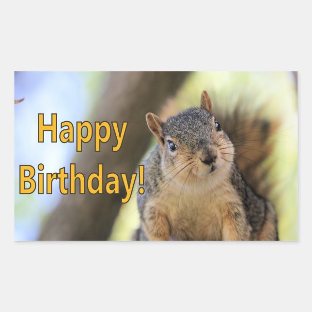 Mr.Squirrel wishing a Happy Birthday Rectangular Sticker (Front)