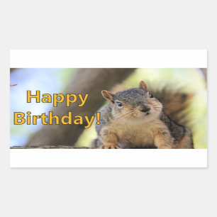 Mr.Squirrel wishing a Happy Birthday Rectangular Sticker