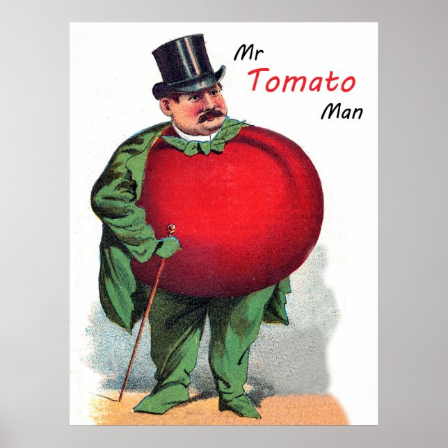 Mr Tomato man, funny cartoon, vintage illustration Poster (Front)
