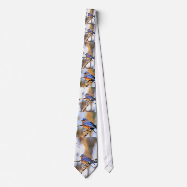Mr. Truman, Bluebird Missouri State Bird Tie (Front)
