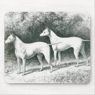 Mr. Vero Shaw's White English Terriers Mouse Mat