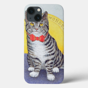 Mr Wonderful iPhone 13 Case