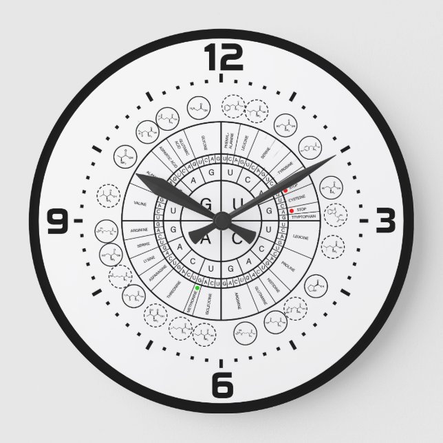 mRNA to AMINO ACID CODON WHEEL Large Clock (Front)