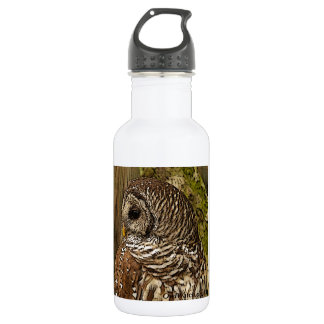 Mrs Barred Owl 532 Ml Water Bottle