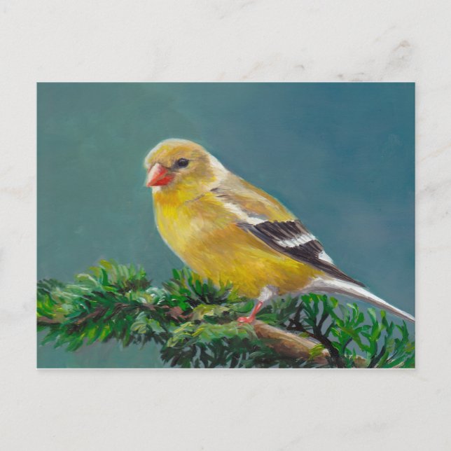 Mrs.Goldfinch  Bird Art Postcard (Front)