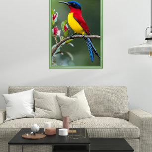 Mrs. Gould's sunbird Poster