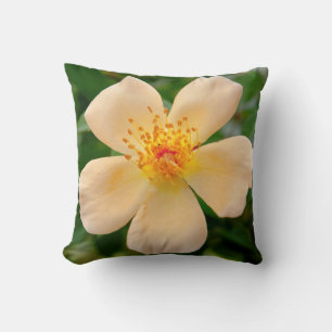 Mrs. Oakley Fisher Rose Cushion