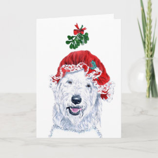 Mrs Santa Labradoodle Greeting Cards