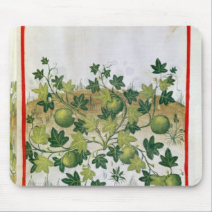 Ms 3054 fol.20 Melons, from 'Tacuinum Sanitatis' Mouse Mat