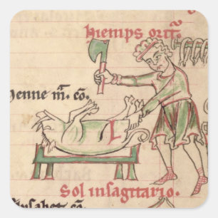 Ms 54. f.6r November: Killing the Pig, from a Cist Square Sticker