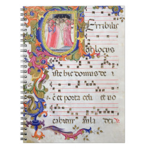 Ms 557 f.61v Page with historiated initial 'U' dep Notebook