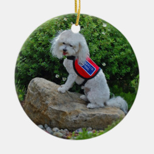 Ms Dolly MaltiPoo Ceramic Tree Decoration