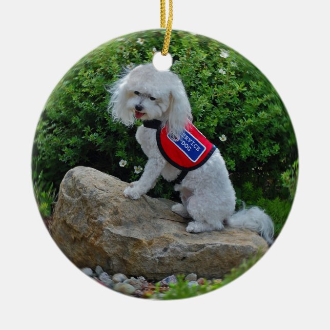 Ms Dolly MaltiPoo Ceramic Tree Decoration (Front)