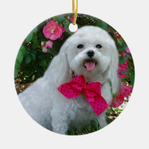 Ms Dolly MaltiPoo Ceramic Tree Decoration