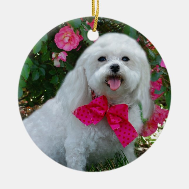 Ms Dolly MaltiPoo Ceramic Tree Decoration (Front)