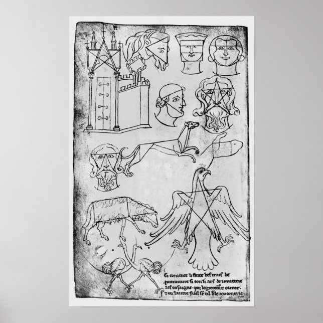 Ms Fr 19093 fol.18v Various drawings Poster (Front)