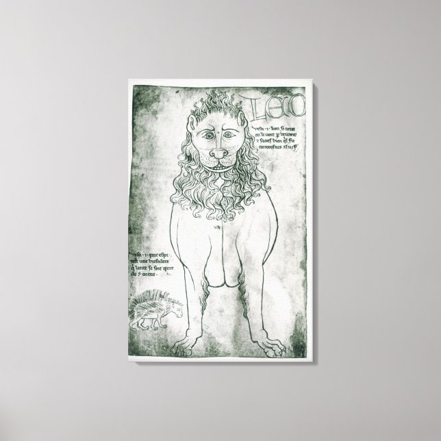 Ms Fr 19093 fol.24v Lion and Porcupine Canvas Print (Front)