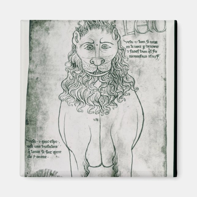 Ms Fr 19093 fol.24v Lion and Porcupine Magnet (Front)